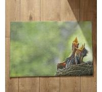 Isdreem Alfombra Wash and Dry Felpudos Exterior Volantón Alfombra Entrada Interior Felpudo Entrada Edificio Alfombrillas Decorativas Antideslizantes, 40x60cm