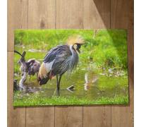 Isdreem Alfombras Antideslizantes Felpudo Entrada Casa One Piece Pájaro Alfombra Zapatillas Alfombrilla Antideslizante Movil Alfombrillas Decorativas Antideslizantes, 45x75cm