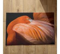 Isdreem Alfombras Antideslizantes para Peldaños De Escaleras Alfombrilla Antideslizante Baã Era Flamenco Alfombra De Cocina Antideslizante Lavable Felpudos Divertidos, 40x60cm