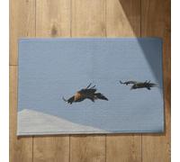 Isdreem Alfombras De Habitacion Anime One Piece Felpudos Entrada Casa Baratos Águila Alfombra Felpudo Entrada Gracioso Alfombrillas Decorativas Antideslizantes, 50x80cm