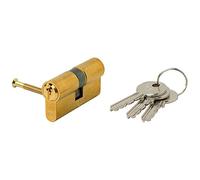 Iseo 3171080 Cilindro Iseo F5 Europeo 30x30 Latonado Leva Larga