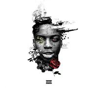 ISHDARR - BROKEN HEARTS & BANK ROLLS
