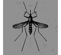 Isis - Mosquito Control (Reissue) [Vinilo]