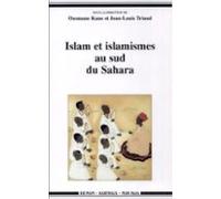 Islam Et Islamismes Au Sud Du Sahara (ebook)