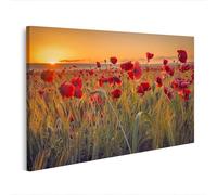 islandburner Cuadro de lienzo Amapola Campo de trigo Amanecer Rocío - Lienzo 80x40cm