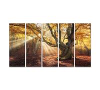 islandburner Cuadro de lienzo Árbol antiguo mágico del otoño Bosque de otoño Niebla Rayos de sol Amanecer - Lienzo 160x80cm - 5 piezas XXL