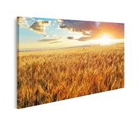 islandburner Cuadro Decorativo sobre Lienzo Puesta de sol sobre campo de trigo Cuadros Impresiones Decoracion para sala de estar oficina