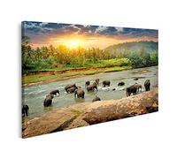 islandburner Cuadro en Lienzo Manada de Elefantes de la Selva Río de baño Sri Lanka Cuadros Decoracion Impresión Salon