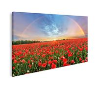 islandburner Cuadro en Lienzo Paisaje Arco Iris Sobre Campo De Amapolas