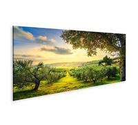 islandburner Cuadro en Lienzo Panorama del Campo de Maremma y olivos al Atardecer Casale Marittimo Pisa Toscana Italia Cuadros Modernos Decoracion Impresión Salon