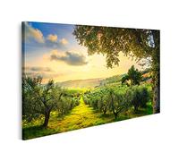 islandburner Cuadro en Lienzo Panorama del Campo de Maremma y olivos al Atardecer Casale Marittimo Pisa Toscana Italia Cuadros Modernos Decoracion Impresión Salon