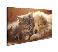 islandburner Cuadro en Lienzo Perro Y Gato Abrazándose Mutuos Concepto Verdadera Amistad Imágenes Murales Póster