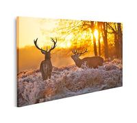 islandburner Cuadro Moderno en Lienzo Dos Ciervos Al Sol De La Mañana Cuadros Decoracion Cocina Salon