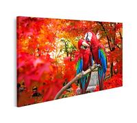 islandburner Cuadro Moderno en Lienzo Loros En Rama En Árbol De Hoja Caduca Rojo Cuadros Decoracion Cocina Salon