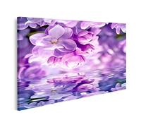islandburner Cuadro Moderno en Lienzo Purple Flower Blossom Water Reflection Light Greeting Card Template So Cuadros Decoracion Cocina Salon