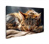 islandburner Cuadro sobre lienzo Acogedor gato en rayo de sol mural para dormitorio - Para los amantes de los gatos - Edición M2