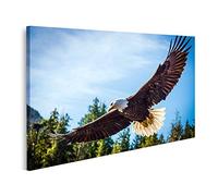 islandburner Cuadro sobre lienzo Águila calva norteamericana en medio del vuelo Impresiones Arte Póster Mural