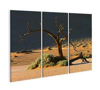 islandburner Cuadro sobre lienzo árbol duna árbol árbol sol paisaje africano tarde acacia Erioloba N cuadros murales Póster BJVX-3P