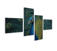 islandburner Cuadro sobre lienzo áureo pavo real con colorido vestido de plumas bajo la luz del sol - 4 piezas - Edición A3