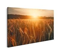 islandburner cuadro sobre lienzo campo de trigo verano puesta de sol campo de trigo verano Golden Hour imágenes murales póster