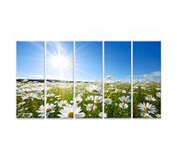 islandburner cuadro sobre lienzo campo margaritas flores verano grande hermoso día soleado imágenes murales póster