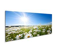 islandburner Cuadro sobre Lienzo Campo Margaritas Flores Verano Grande Hermoso día Soleado imágenes murales póster