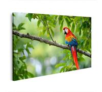 islandburner Cuadro sobre lienzo colorido guacamayo en rama en la selva tropical - Mural para amantes de la naturaleza - Edición Q2