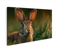 islandburner Cuadro sobre lienzo Conejo salvaje en el prado en la luz de la mañana - Póster de la Naturaleza - Edición O2