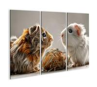 islandburner Cuadro sobre lienzo conmovedor conejillo de indias encuentro mural para amantes de los animales en el salón - 3 piezas