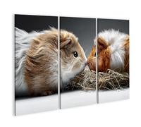 islandburner Cuadro sobre lienzo Conmovedor Conejillo de Indias Encuentro Mural Salón Para Amigos Animales - 3 Piezas
