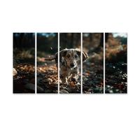 islandburner Cuadro sobre lienzo, diseño de cachorro salchicha, 5 piezas, XXL