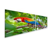 islandburner Cuadro sobre lienzo, diseño de guacamayo en rama en la selva tropical, 2 piezas, edición L1