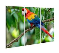 islandburner Cuadro sobre lienzo, diseño de guacamayo en rama en la selva tropical, 3 piezas, edición O1