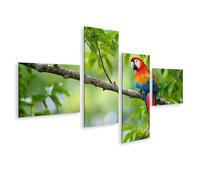 islandburner Cuadro sobre lienzo, diseño de guacamayo en rama en la selva tropical, 4 piezas, edición O1