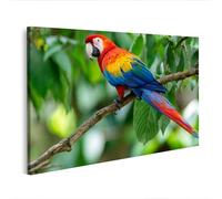 islandburner Cuadro sobre lienzo, diseño de guacamayo en rama en la selva tropical, para amantes de la naturaleza, edición T5