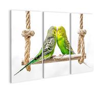 islandburner Cuadro sobre lienzo, diseño de periquitos alegres, decoración para salón, para los amantes de los pájaros, 3 piezas