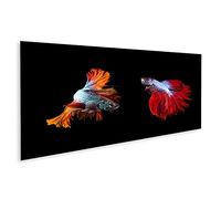 islandburner Cuadro sobre lienzo Dos hermosos peces de batalla Betta de colores preparándose para una pelea Aquar Cuadros Murales Póster ISBR Pano