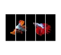 islandburner Cuadro sobre lienzo Dos hermosos peces de batalla Betta de colores preparándose para una pelea Aquar Imágenes Murales Póster ISBR-5P