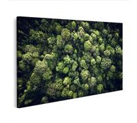 islandburner Cuadro sobre lienzo fotografía aérea selva tropical con luz solar a través de dosel - Edición G1