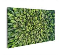 islandburner Cuadro sobre lienzo fotografía aérea selva tropical con luz solar verde mural para amantes de la naturaleza - Edición C2