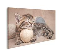 islandburner Cuadro sobre lienzo gatito duerme y descansa su cabeza bola hilo gatito duerme y descansa su cabeza bola hilo mural lienzo cuadros para sala de estar GKZD-1K