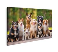 islandburner Cuadro sobre lienzo grupo de diferentes razas de perros sentado afuera y caminando juntos cuadros murales carteles