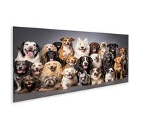 islandburner Cuadro sobre lienzo grupo grande perros diferentes razas mascotas sentado blanco cuadros murales carteles