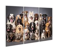 islandburner Cuadro sobre lienzo grupo grande perros diferentes razas mascotas sentado blanco cuadros murales carteles