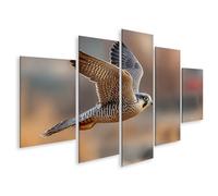 islandburner Cuadro sobre lienzo Halcón peregrino en vuelo - Impresionante mural para amantes de la naturaleza - 5 piezas - Edición K2