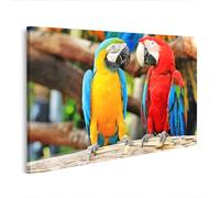 islandburner Cuadro sobre lienzo loros coloridos en una rama en la selva exótica tropical cuadros murales 100 x 57 cm