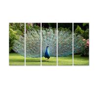 islandburner Cuadro sobre lienzo Magnífico pavo real con colorido vestido de plumas en el jardín - 5 piezas XXL - Edición M1