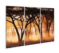 islandburner Cuadro sobre lienzo Místico Acacia Sunrise Mural Sala de Estar para amantes de la naturaleza - 3 piezas