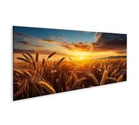 islandburner Cuadro sobre lienzo paisaje al atardecer con campo de trigo maduro cuadros murales póster JETG Pano