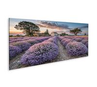 islandburner Cuadro sobre lienzo Romántico Campos de Lavanda Mural Salón Para Amantes de la Naturaleza - Panorama